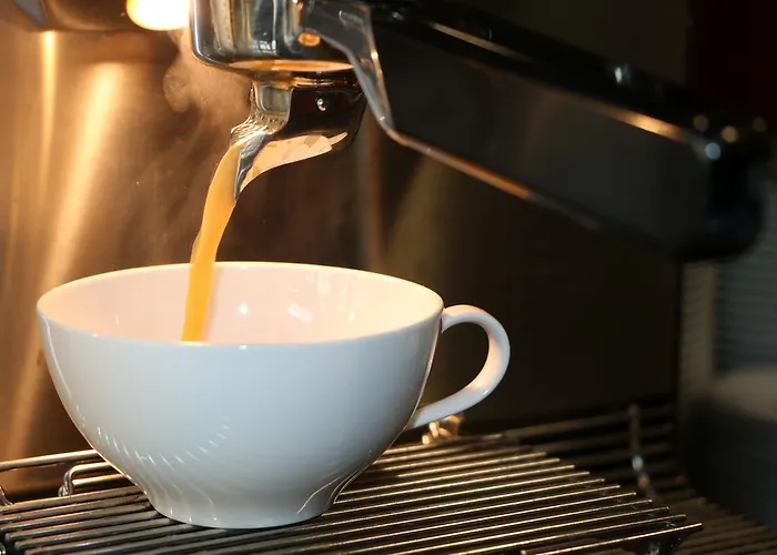 酒店 罗西酒店 3*