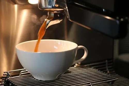 罗西酒店 酒店 3*